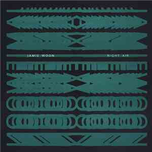 Jamie Woon - Night Air flac download