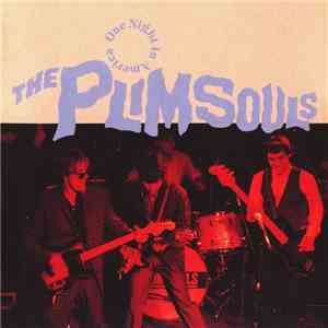 The Plimsouls - One Night In America flac download