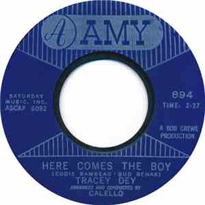 Tracey Dey - Here Comes The Boy flac download