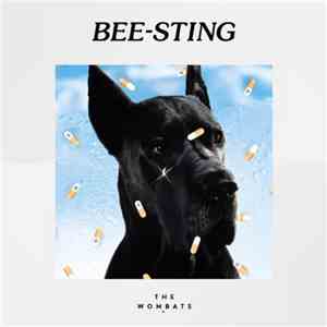 The Wombats - Bee-Sting flac download