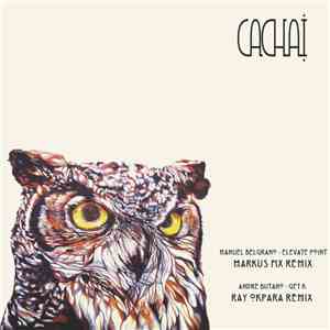 Various - Cachai Ltd 002 flac download