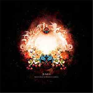 Junius - Reports From The Threshold Of Death flac download