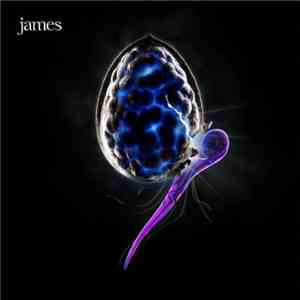 James - The Night Before flac download