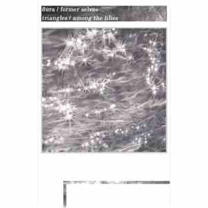 Dura / Former Selves - Triangles / Among The Lilies flac download