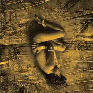 Fish In Oil - Drnch flac download