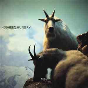Kosheen - Hungry (Satoshi Tomiie Dub) flac download