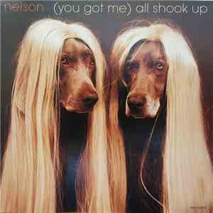 Nelson  - (You Got Me) All Shook Up flac download