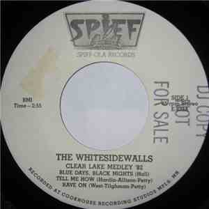 The Whitesidewalls - Clear Lake Medley '82 flac download