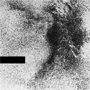 ██████ - DEMO flac download