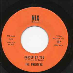 The Twiliters - Caused By You flac download