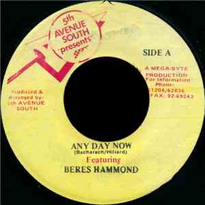 Beres Hammond - Any Day Now flac download
