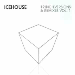 Icehouse - 12 Inch Versions & Remixes Vol. 1 flac download