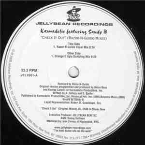Karmadelic Featuring Sandy B - Check It Out (Razor-N-Guido Remixes) flac download