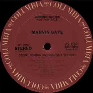 Marvin Gaye - Sexual Healing (Instrumental Version) flac download