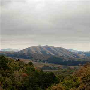 Dirty Projectors + Björk - Mount Wittenberg Orca flac download