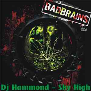 DJ Hammond - Sky High flac download