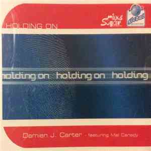 Damien J. Carter - Holding On flac download