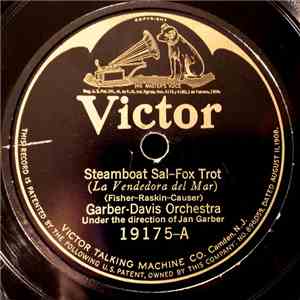 Garber-Davis Orchestra / The Virginians  - Steamboat Sal / Down South Blues flac download