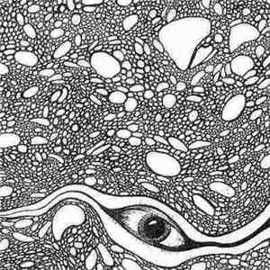 Phluidbox - Thos Grol flac download