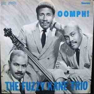 The Fuzzy Kane Trio - Oomph! flac download