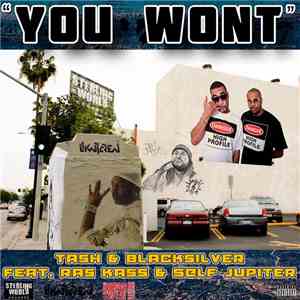 Black Silver, Tash, Ras Kass, Self Jupiter, DJ Obi - You Won't flac download