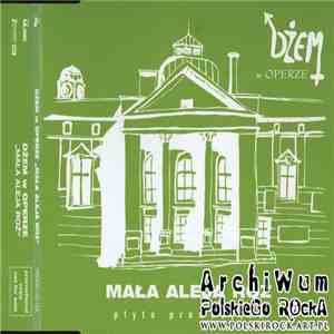 Dżem - Mała Aleja Róż flac download