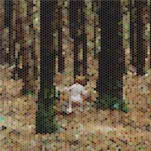 Principles Of Geometry Starring Sébastien Tellier - A Mountain For President EP flac download