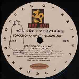 Forces Of Nature  Presents Dru Hill - You Are Everything flac download