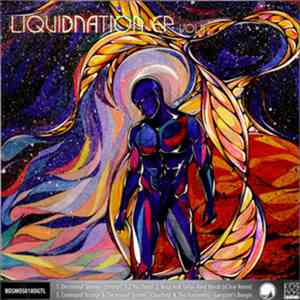 Various - LiquiDNAtion EP Vol 2 flac download