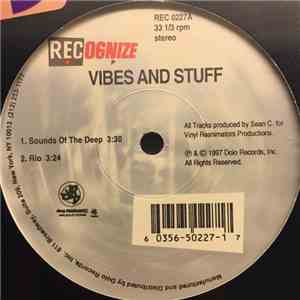Vinyl Reanimators - Vibes And Stuff flac download