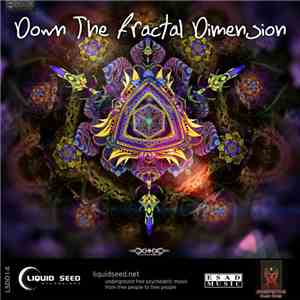 Various - Down The Fractal Dimension flac download