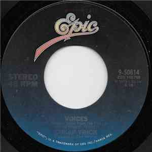 Cheap Trick - Voices / The House Is Rockin' (With Domestic Problems) flac download