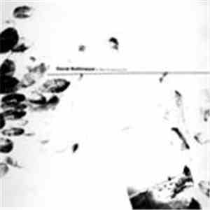 David Rottmeyer - Do I Have To Repeat Myself flac download