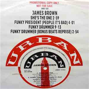 James Brown - She's The One flac download