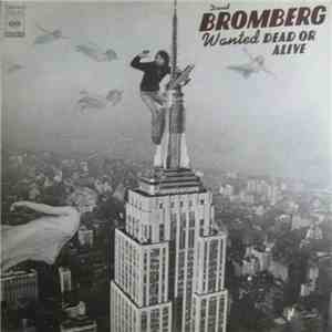 David Bromberg - Wanted Dead Or Alive flac download