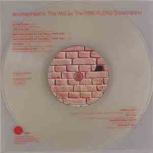 The Pink Floyd Tribute Band - Another Hole In The Wall flac download