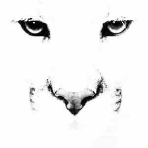 Berny - Shplatten Remixes flac download