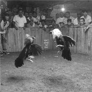 Black Pistol Fire - Don't Wake the Riot flac download