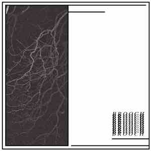 Brooch - Blood Spitting flac download