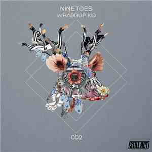 Ninetoes - Whaddup Kid flac download