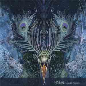 Pineal - Cauda Pavonis flac download