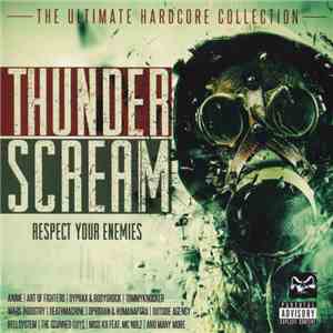 Various - Thunderscream - Respect Your Enemies flac download