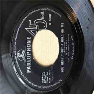 Cliff Bennett And The Rebel Rousers - You Really Got A Hold On Me flac download