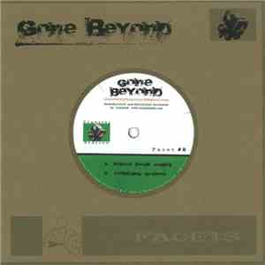 Gone Beyond - Facet #2 flac download