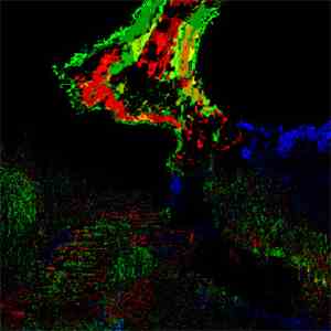 Schwargleis / Razxca - Split flac download