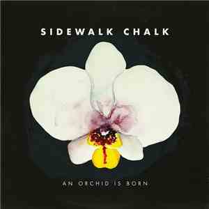 Sidewalk Chalk - An Orchid Is Born flac download