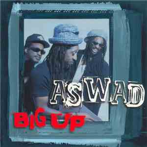 Aswad - Big Up flac download