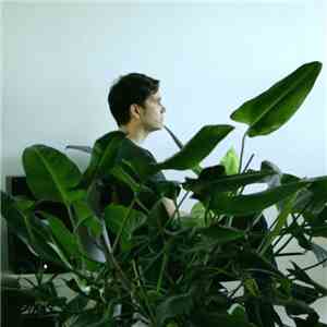 Fantasna - George Wes flac download