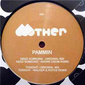 Pammin - Need Someone flac download