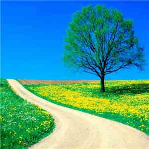 Alterleo - The Remembrance Of Spring flac download